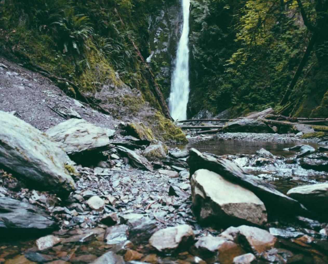 又拍云实名账号:新疆药品购买平台